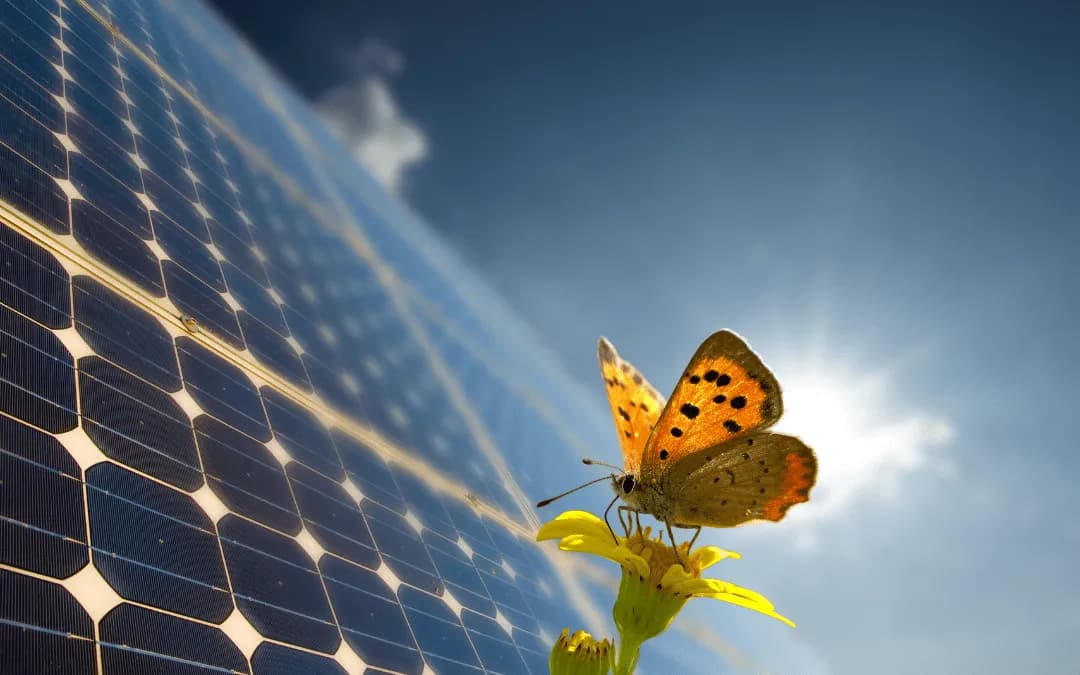 Dlaczego wnioski do programu Mój Prąd 3.0 są odrzucane? Przyczyny