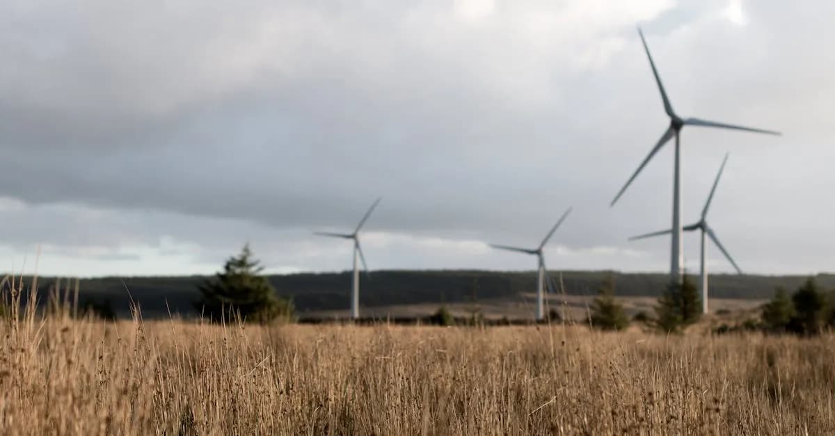 Jak obliczyć oszczędności z net billingu? Oto kalkulator dla każdego