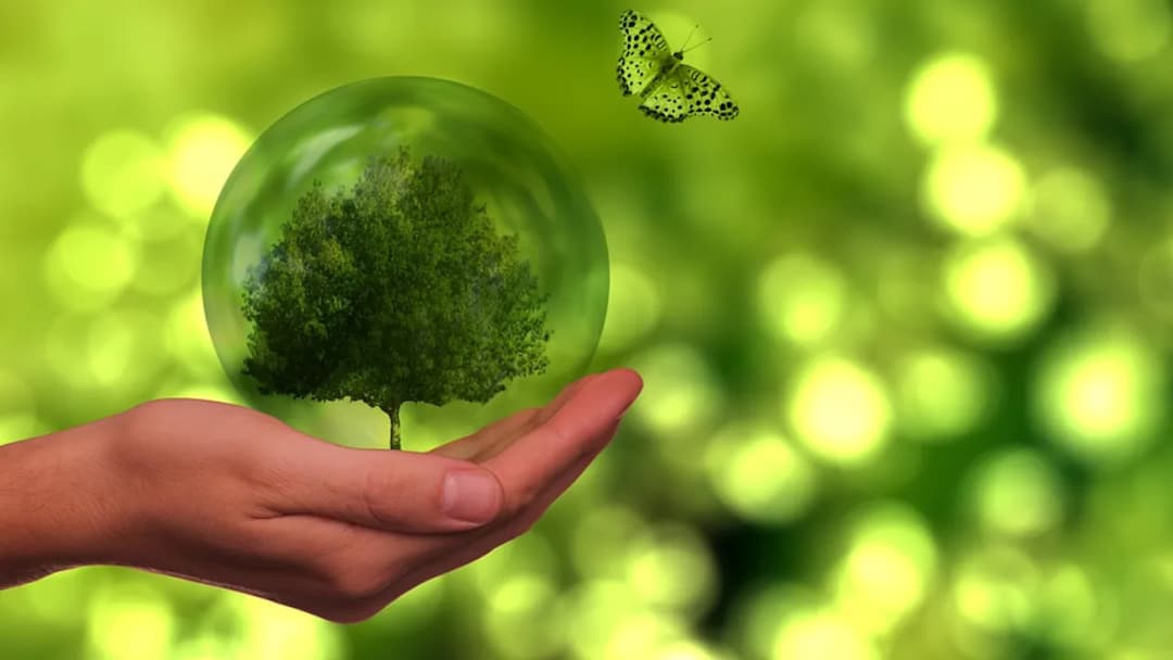 Znaczenie szkoleń z ochrony środowiska dla przedsiębiorstw i pracowników
